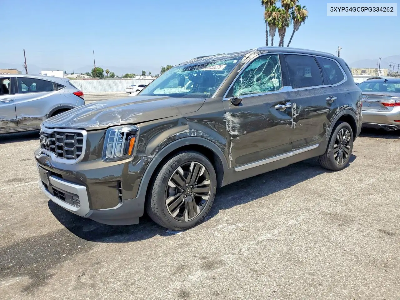 2023 Kia Telluride Sx VIN: 5XYP54GC5PG334262 Lot: 60820276