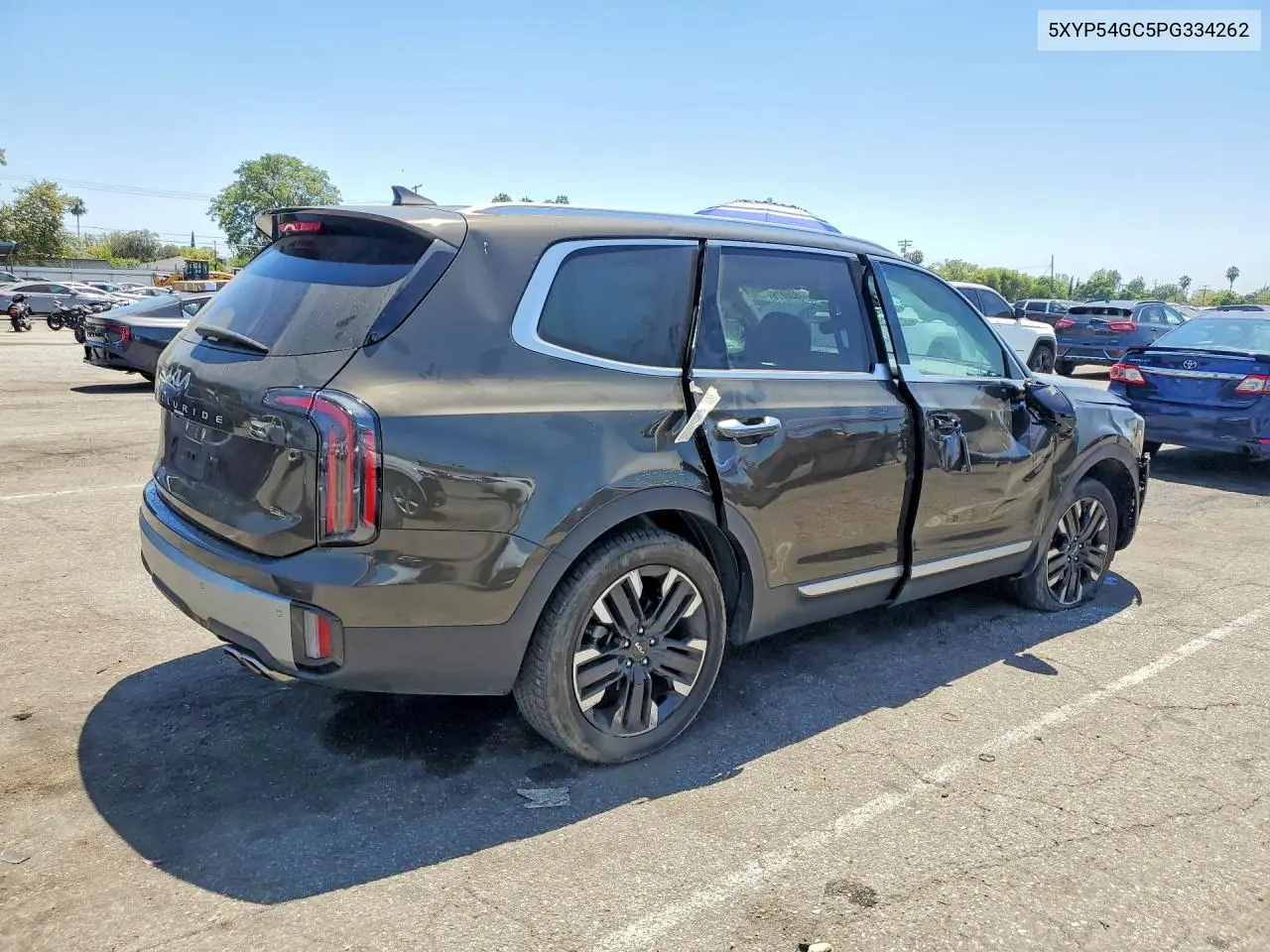 2023 Kia Telluride Sx VIN: 5XYP54GC5PG334262 Lot: 60820276