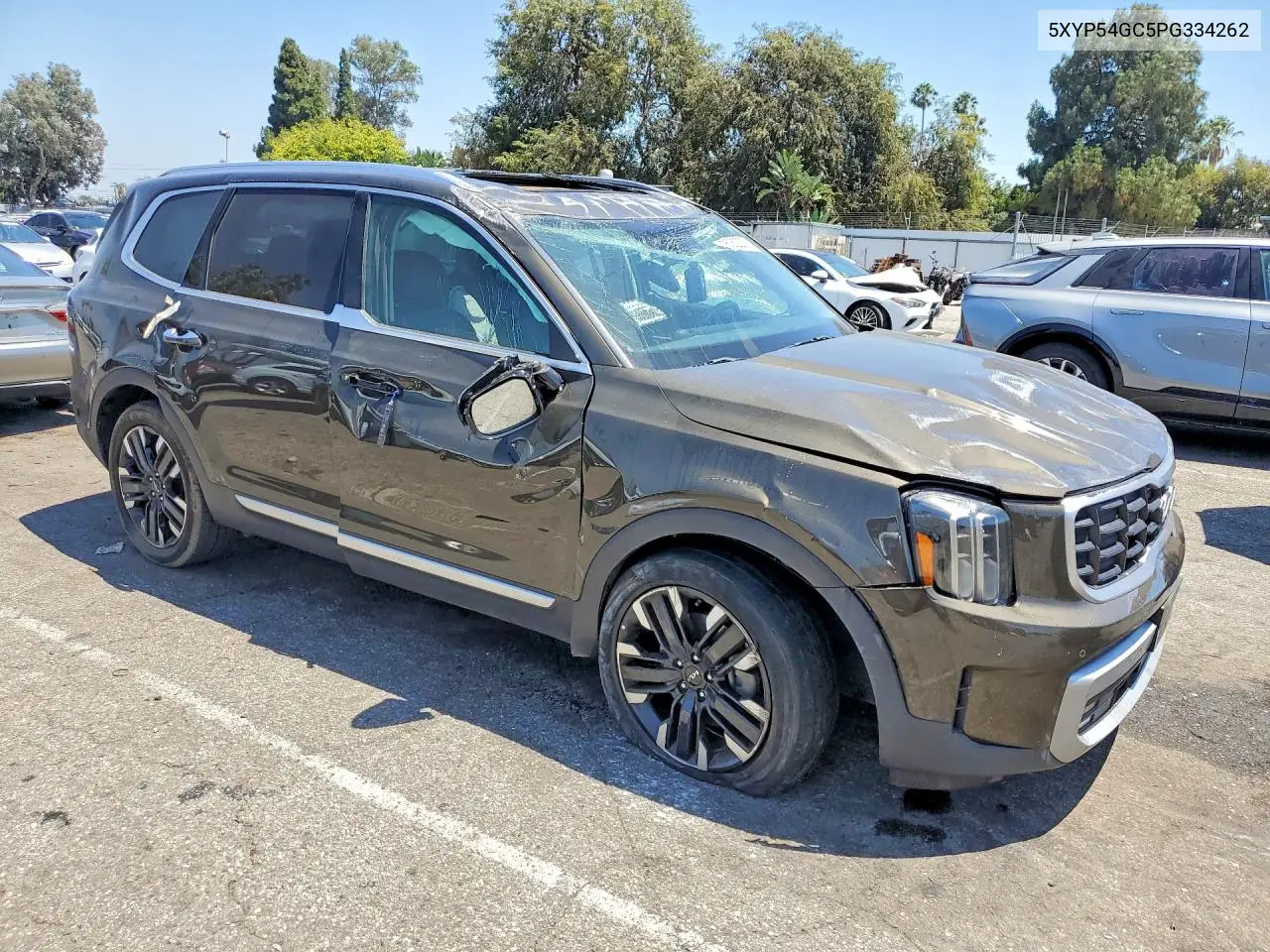 2023 Kia Telluride Sx VIN: 5XYP54GC5PG334262 Lot: 60820276