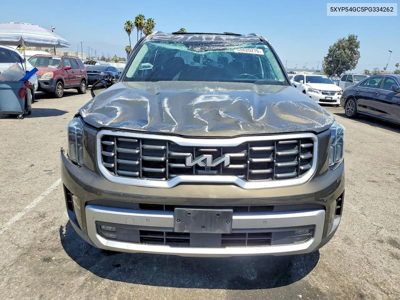 2023 Kia Telluride Sx VIN: 5XYP54GC5PG334262 Lot: 60820276