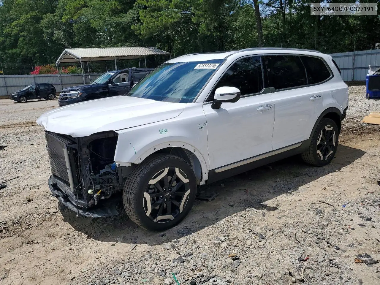 2023 Kia Telluride S VIN: 5XYP64GC7PG377191 Lot: 60831426