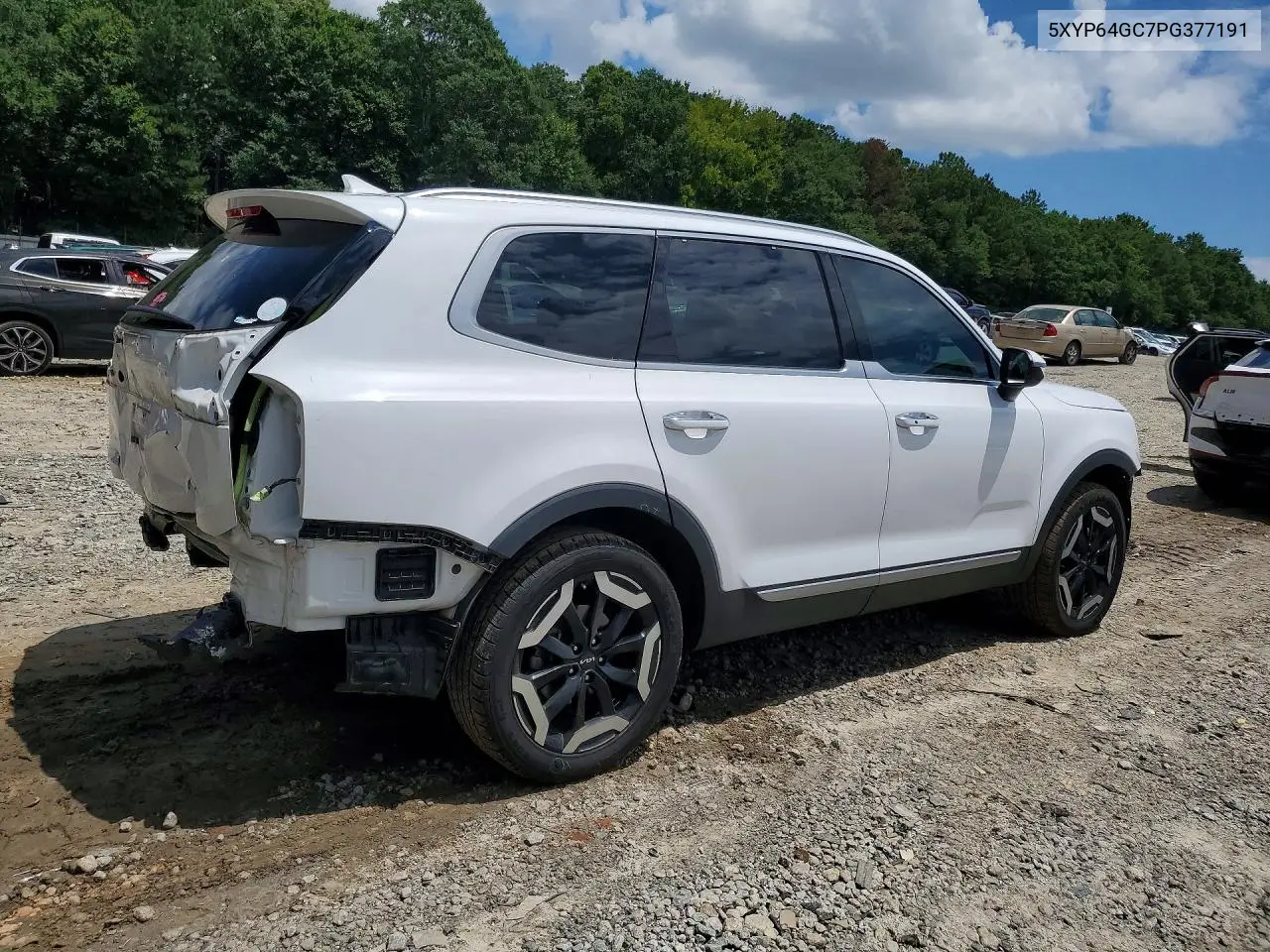 2023 Kia Telluride S VIN: 5XYP64GC7PG377191 Lot: 60831426