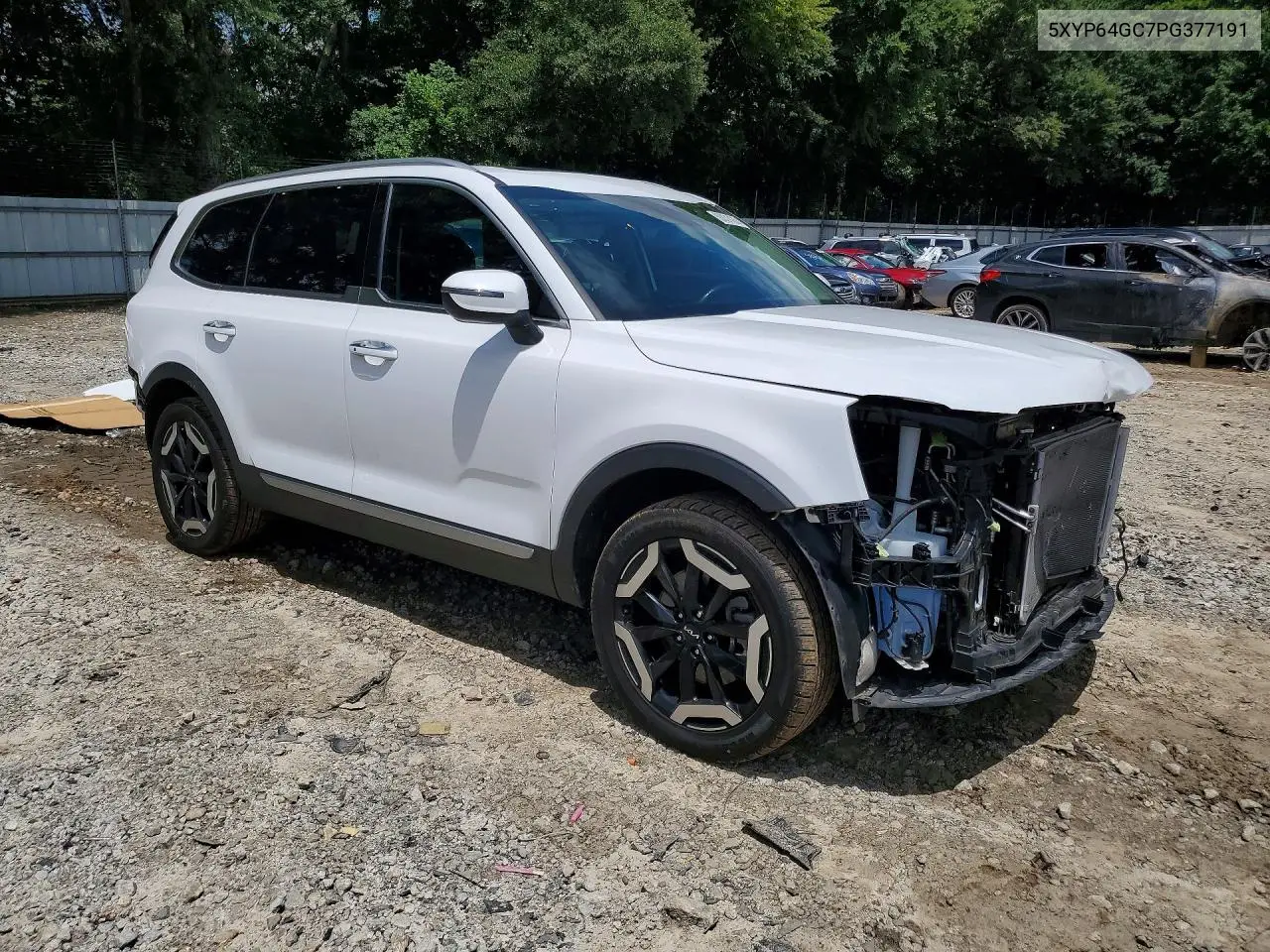 2023 Kia Telluride S VIN: 5XYP64GC7PG377191 Lot: 60831426