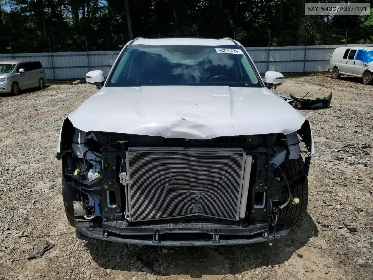 2023 Kia Telluride S VIN: 5XYP64GC7PG377191 Lot: 60831426