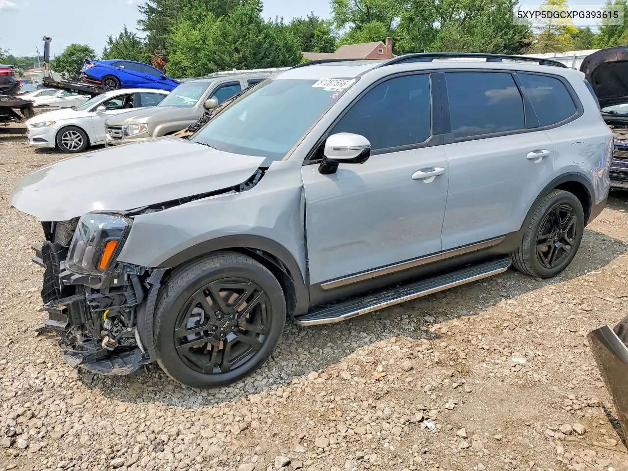 2023 Kia Telluride Sx X-Line VIN: 5XYP5DGCXPG393615 Lot: 61287536