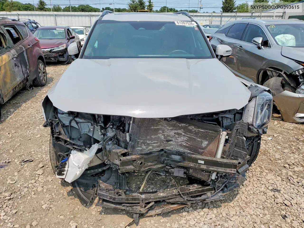 2023 Kia Telluride Sx X-Line VIN: 5XYP5DGCXPG393615 Lot: 61287536