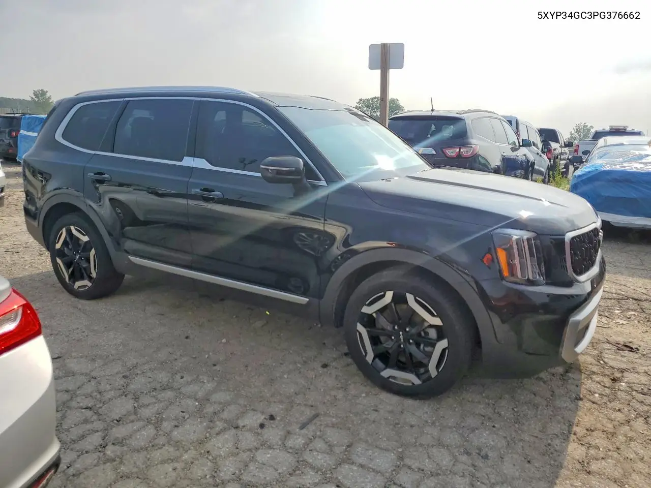2023 Kia Telluride Ex VIN: 5XYP34GC3PG376662 Lot: 61701216