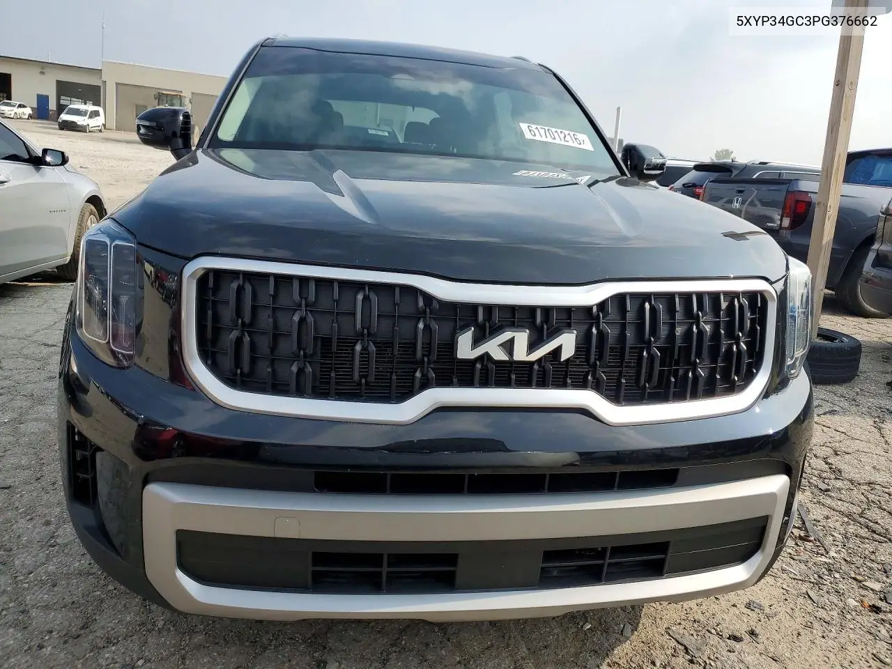 2023 Kia Telluride Ex VIN: 5XYP34GC3PG376662 Lot: 61701216