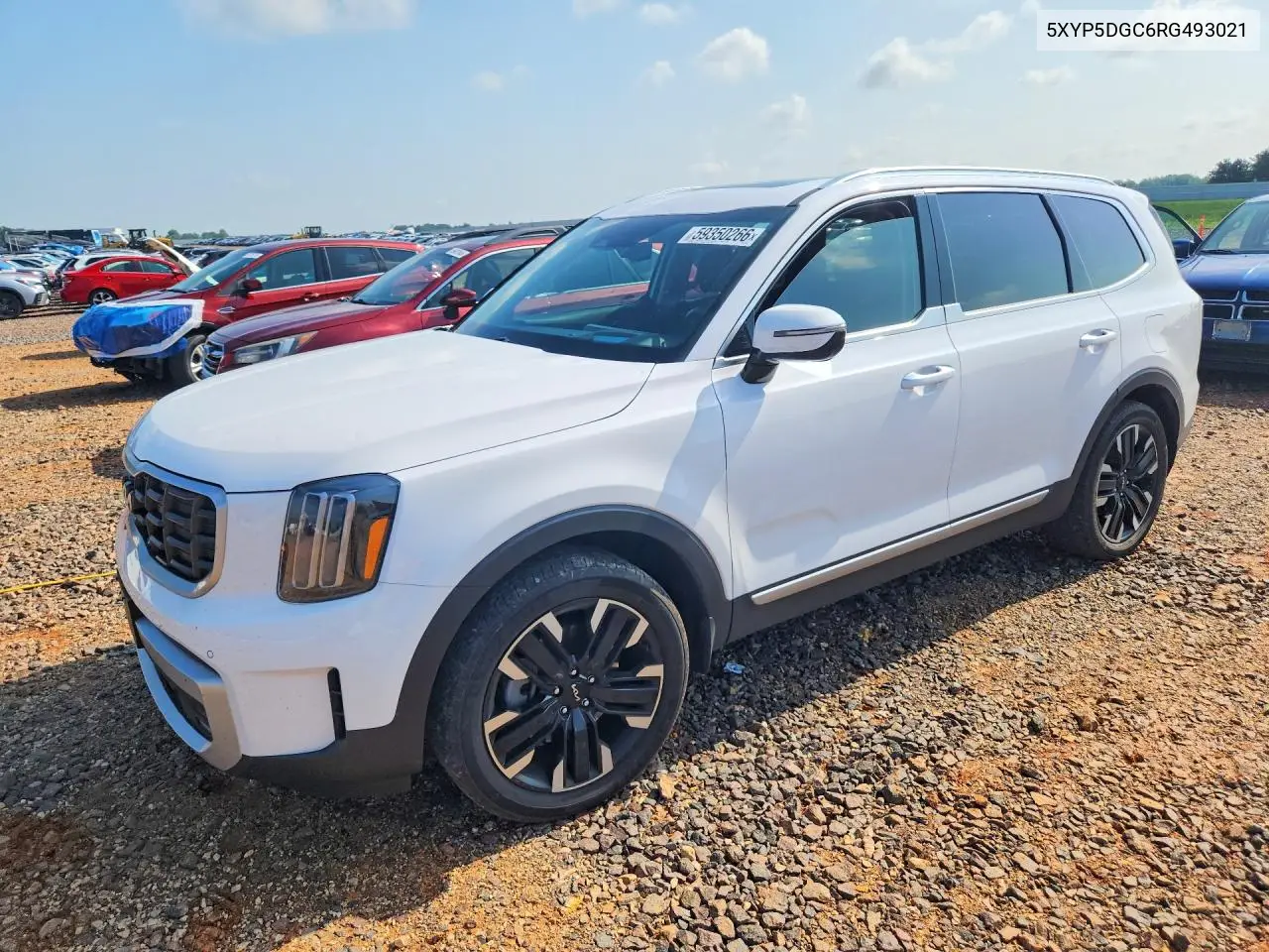 2024 Kia Telluride Sx-Prestige VIN: 5XYP5DGC6RG493021 Lot: 59350266