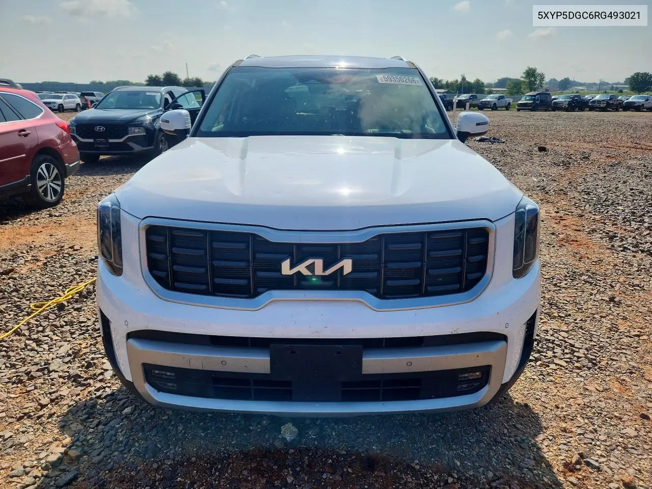 2024 Kia Telluride Sx-Prestige VIN: 5XYP5DGC6RG493021 Lot: 59350266