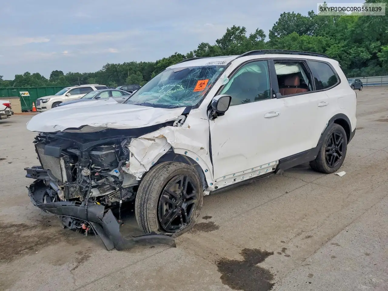 2024 Kia Telluride Ex X-Line VIN: 5XYP3DGC0RG551839 Lot: 60277036