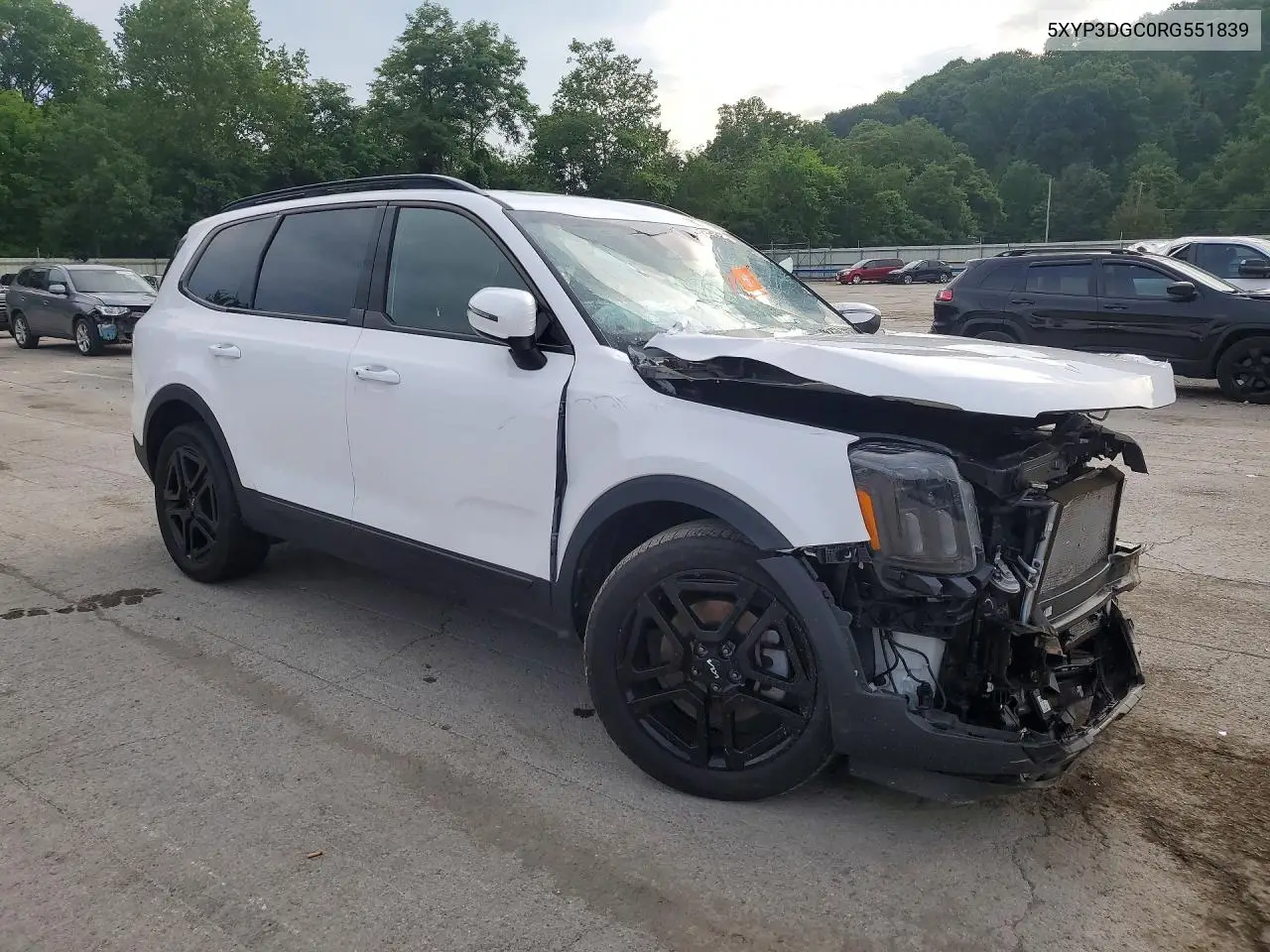 2024 Kia Telluride Ex X-Line VIN: 5XYP3DGC0RG551839 Lot: 60277036