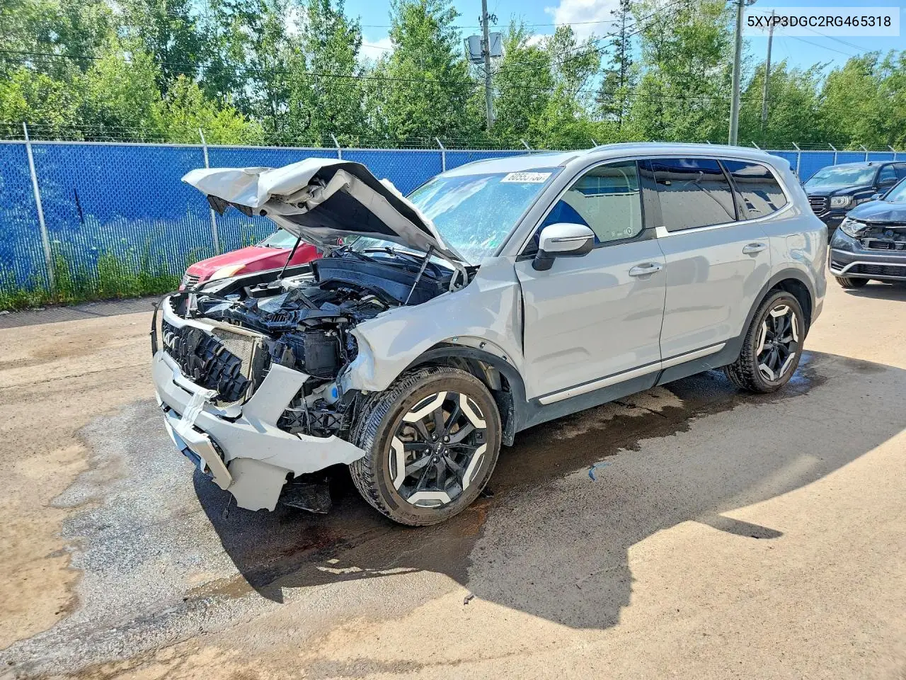 2024 Kia Telluride Ex VIN: 5XYP3DGC2RG465318 Lot: 60553136