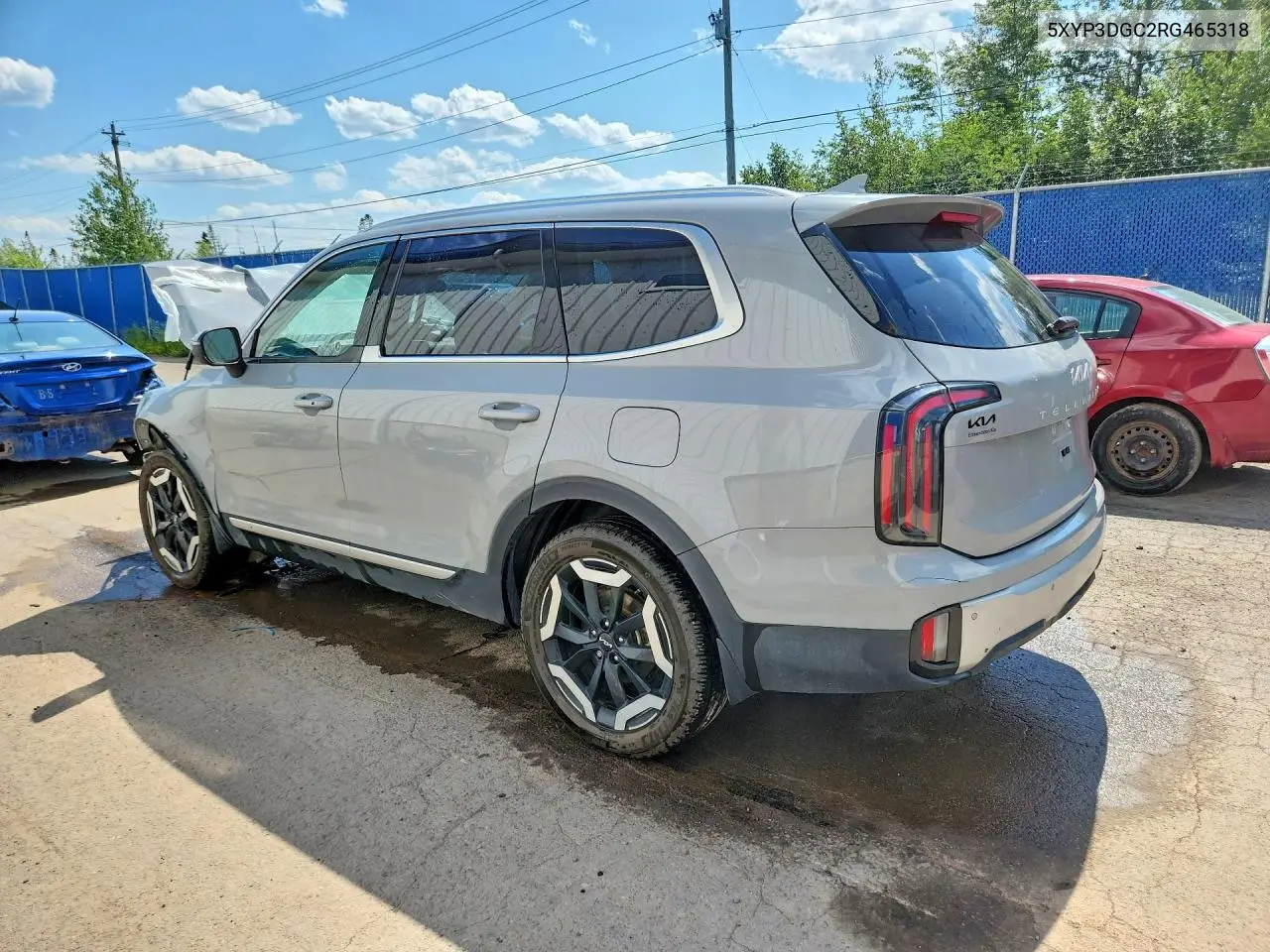 2024 Kia Telluride Ex VIN: 5XYP3DGC2RG465318 Lot: 60553136