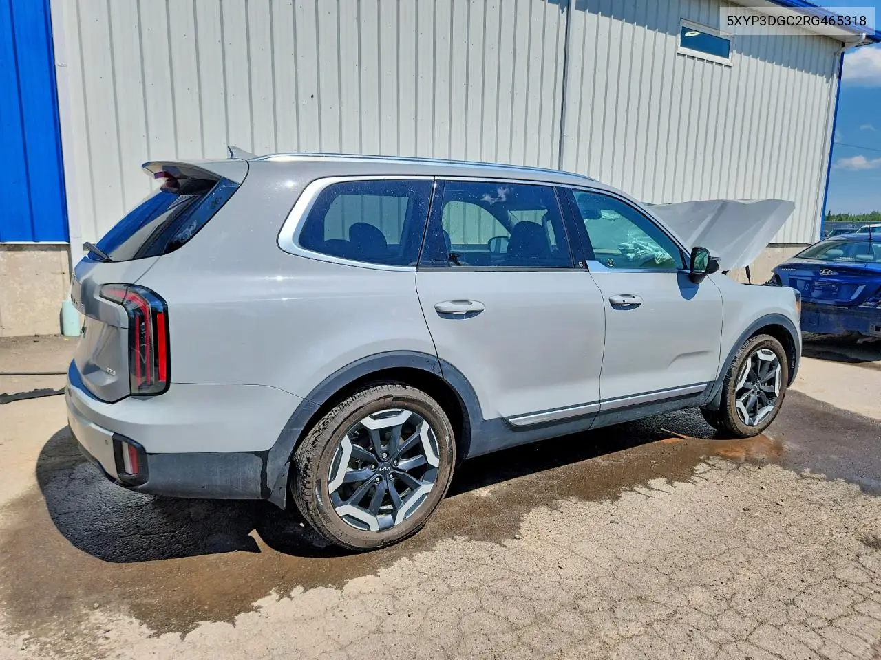 2024 Kia Telluride Ex VIN: 5XYP3DGC2RG465318 Lot: 60553136