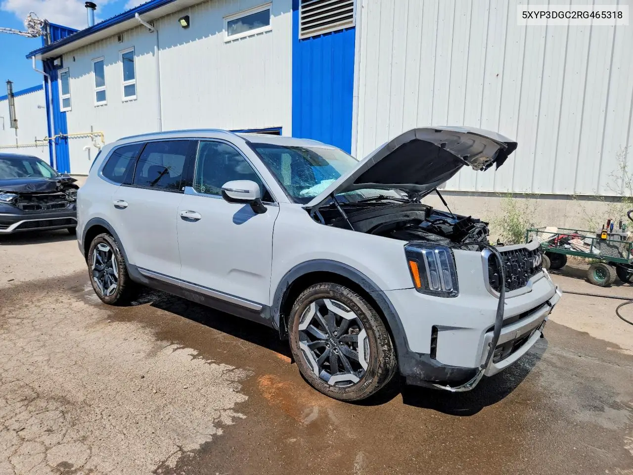 2024 Kia Telluride Ex VIN: 5XYP3DGC2RG465318 Lot: 60553136