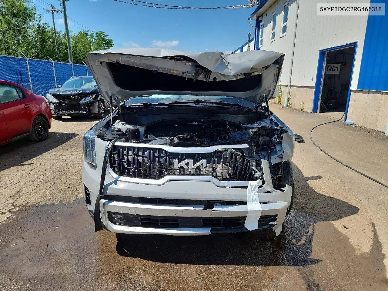 2024 Kia Telluride Ex VIN: 5XYP3DGC2RG465318 Lot: 60553136