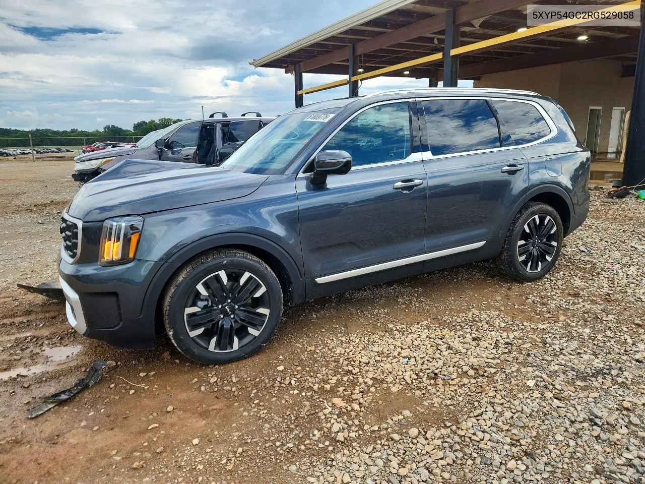2024 Kia Telluride Sx VIN: 5XYP54GC2RG529058 Lot: 61089776