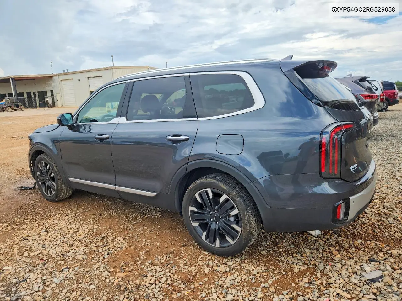 2024 Kia Telluride Sx VIN: 5XYP54GC2RG529058 Lot: 61089776