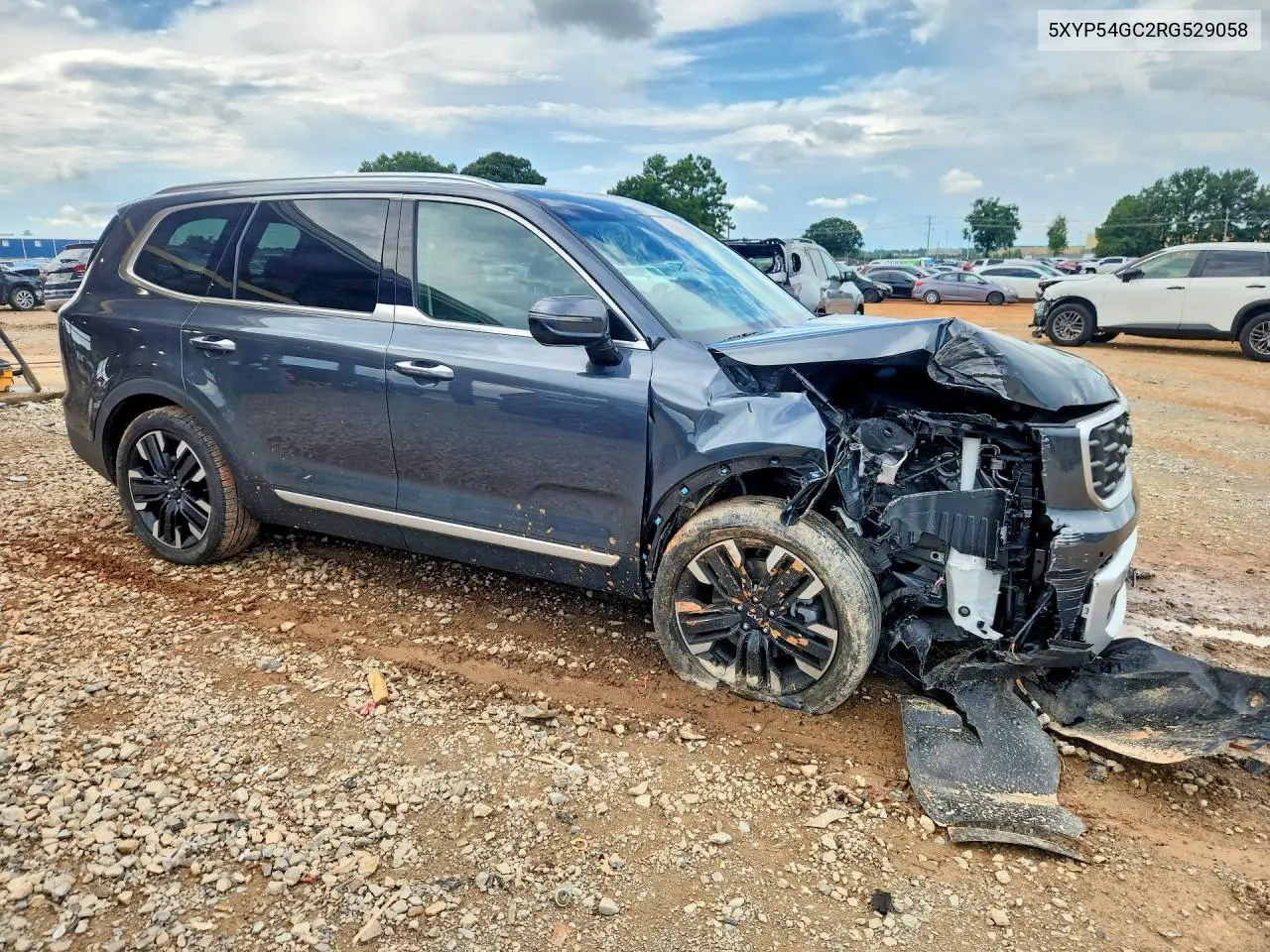 2024 Kia Telluride Sx VIN: 5XYP54GC2RG529058 Lot: 61089776