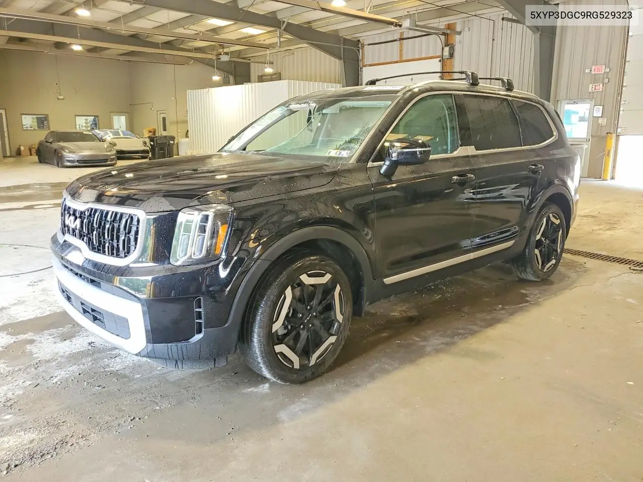 2024 Kia Telluride Ex VIN: 5XYP3DGC9RG529323 Lot: 61120256