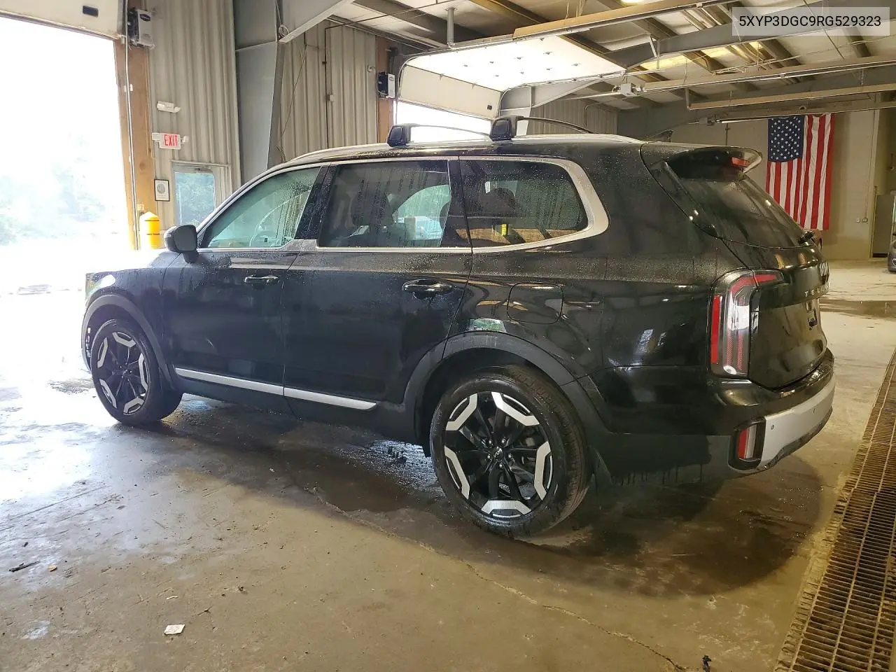2024 Kia Telluride Ex VIN: 5XYP3DGC9RG529323 Lot: 61120256