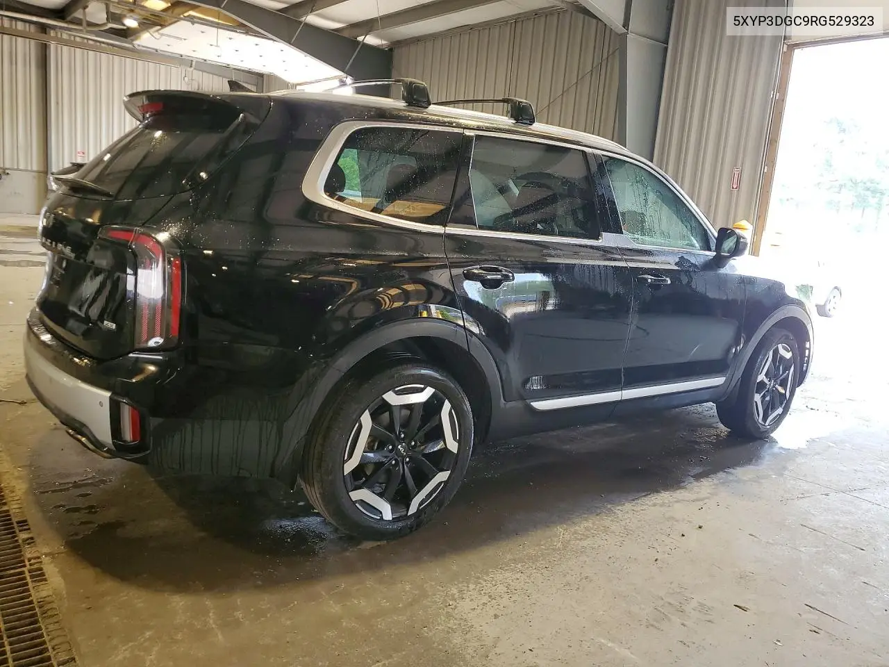 2024 Kia Telluride Ex VIN: 5XYP3DGC9RG529323 Lot: 61120256