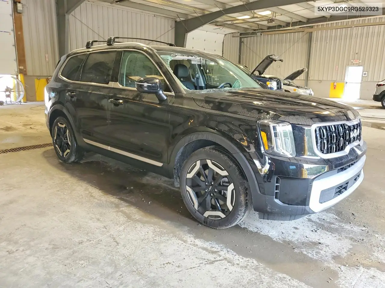 2024 Kia Telluride Ex VIN: 5XYP3DGC9RG529323 Lot: 61120256