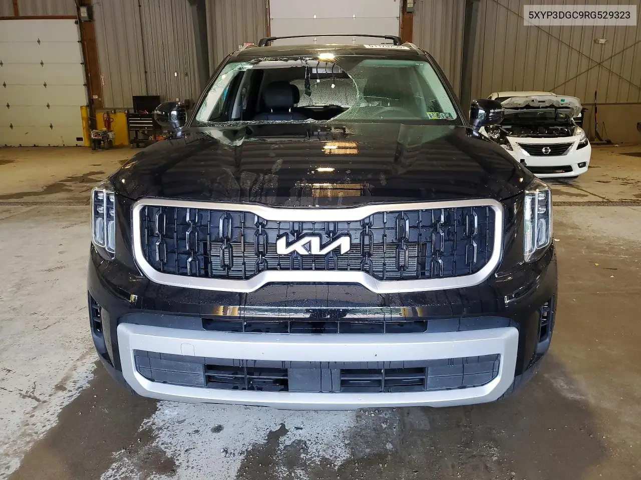 2024 Kia Telluride Ex VIN: 5XYP3DGC9RG529323 Lot: 61120256