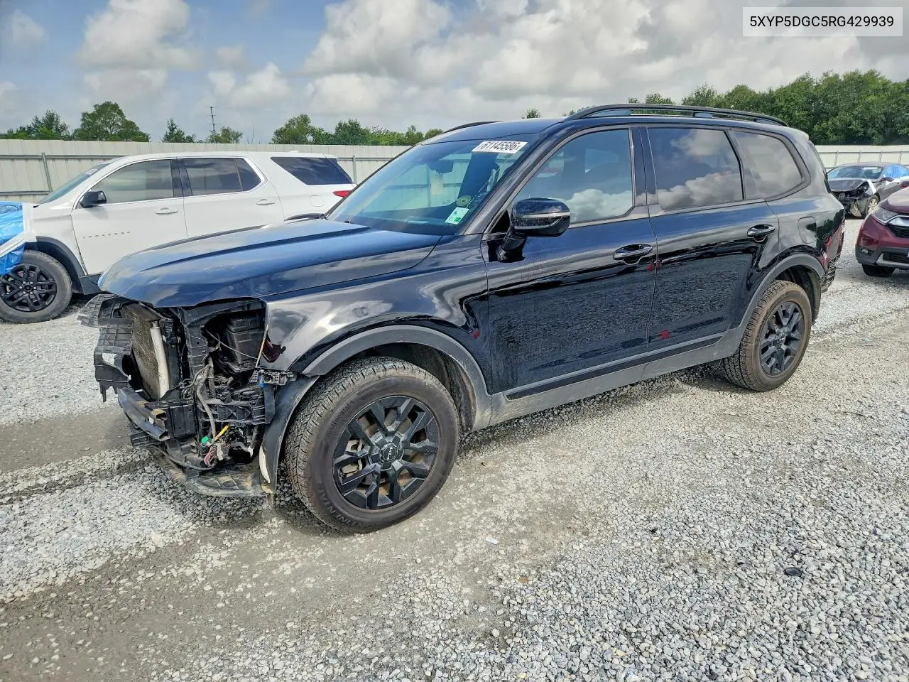 2024 Kia Telluride Sx-Prestige X-Pro VIN: 5XYP5DGC5RG429939 Lot: 61145586