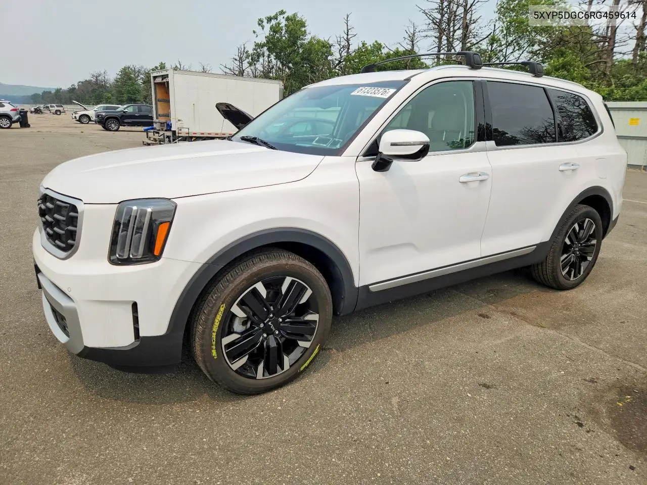 2024 Kia Telluride Sx-Prestige VIN: 5XYP5DGC6RG459614 Lot: 61323576