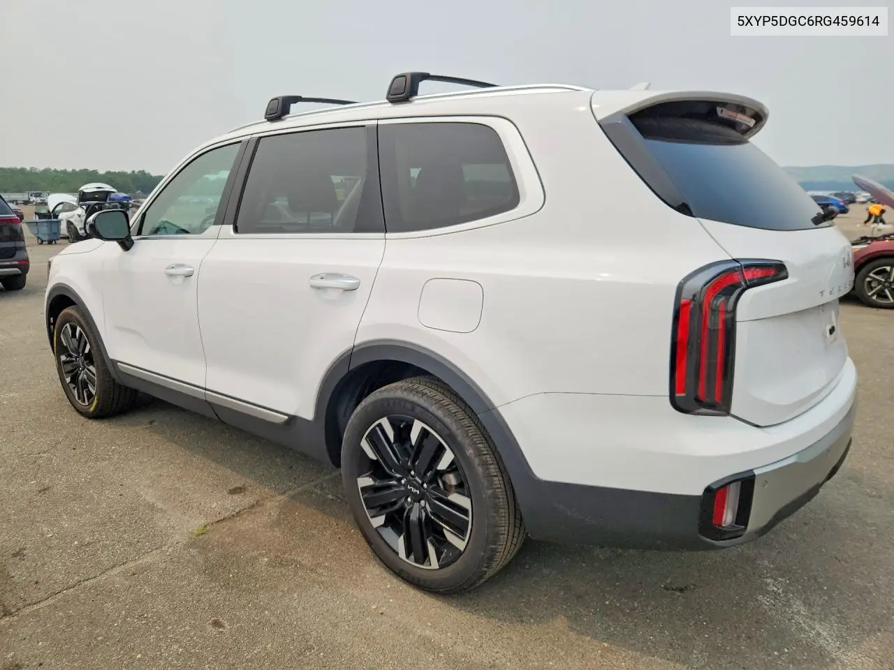 2024 Kia Telluride Sx-Prestige VIN: 5XYP5DGC6RG459614 Lot: 61323576