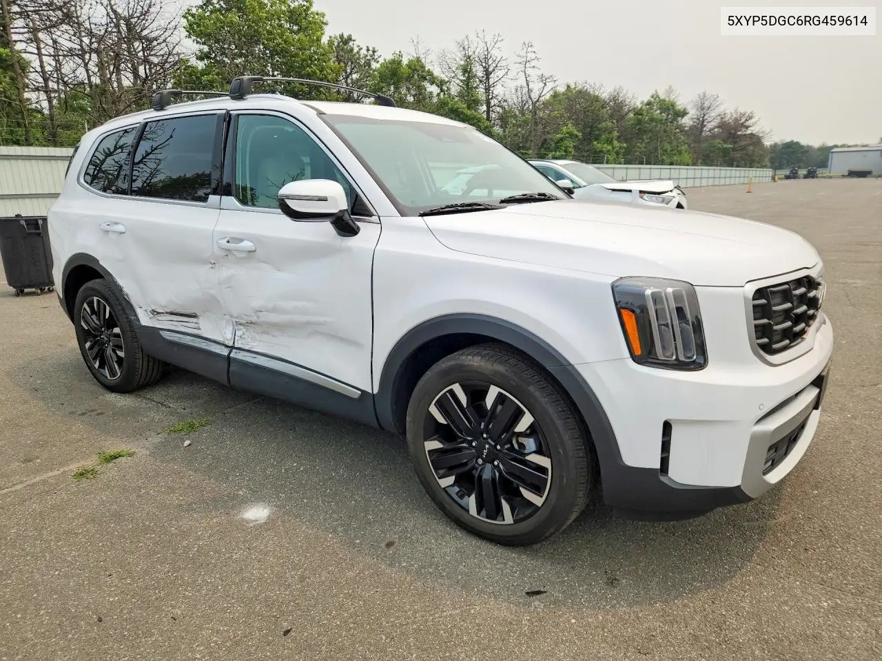 2024 Kia Telluride Sx-Prestige VIN: 5XYP5DGC6RG459614 Lot: 61323576