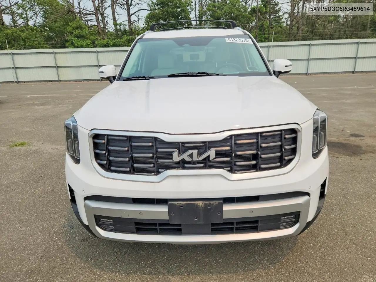 2024 Kia Telluride Sx-Prestige VIN: 5XYP5DGC6RG459614 Lot: 61323576