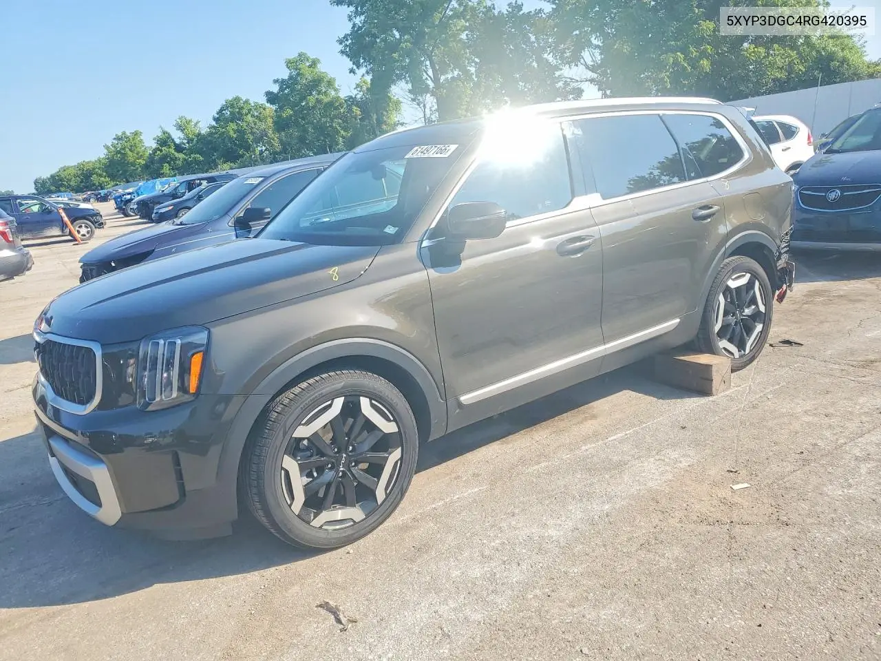2024 Kia Telluride Ex VIN: 5XYP3DGC4RG420395 Lot: 61497166