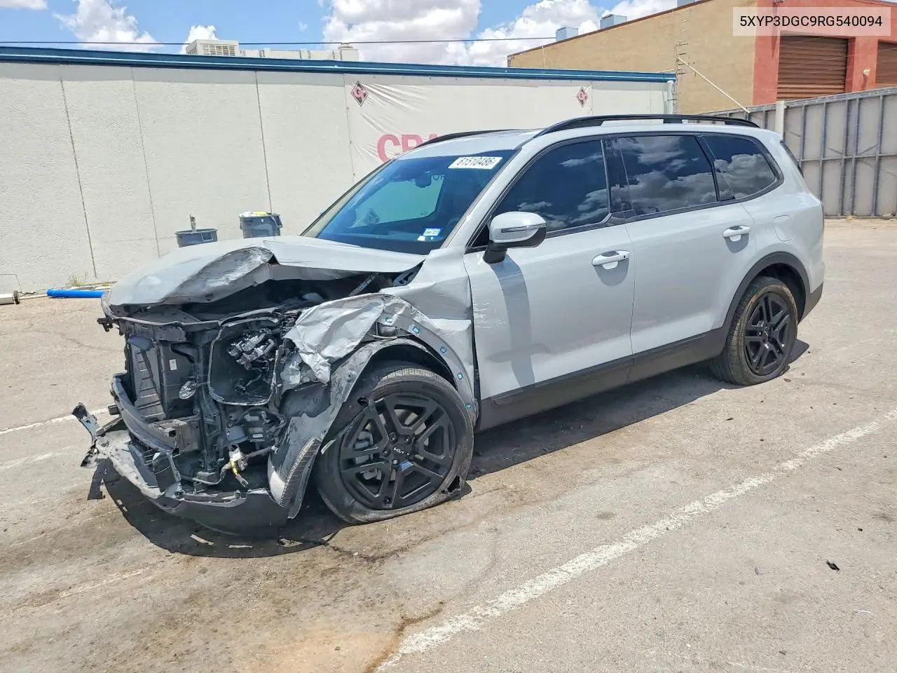 2024 Kia Telluride Ex X-Line VIN: 5XYP3DGC9RG540094 Lot: 61510486