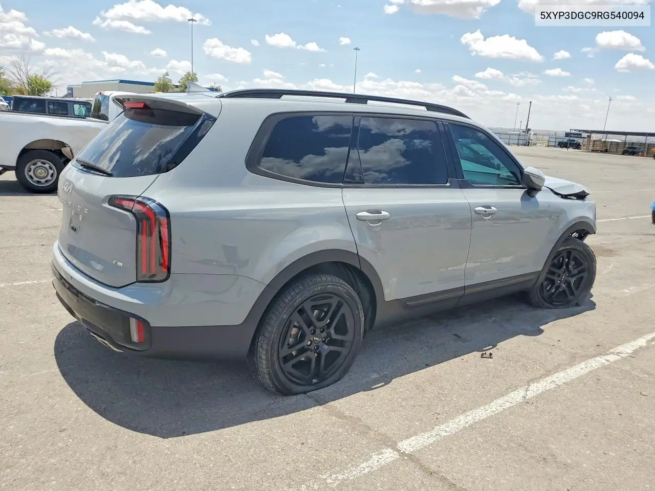 2024 Kia Telluride Ex X-Line VIN: 5XYP3DGC9RG540094 Lot: 61510486