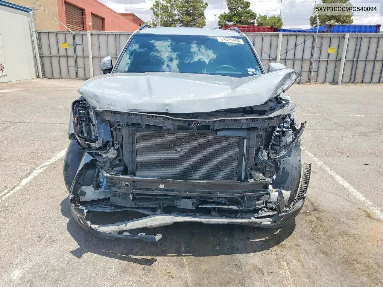 2024 Kia Telluride Ex X-Line VIN: 5XYP3DGC9RG540094 Lot: 61510486