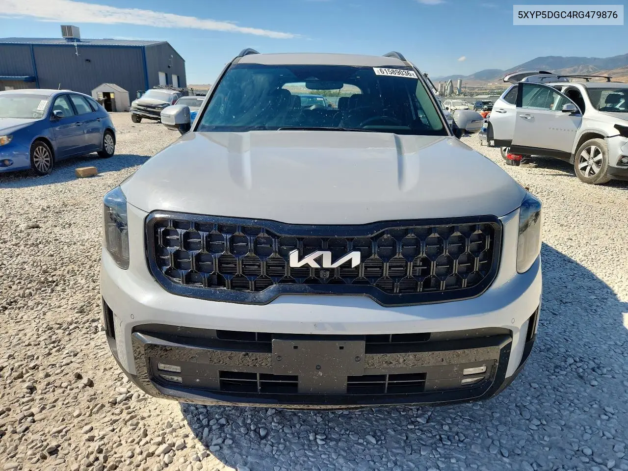 2024 Kia Telluride Sx X-Pro VIN: 5XYP5DGC4RG479876 Lot: 61589036