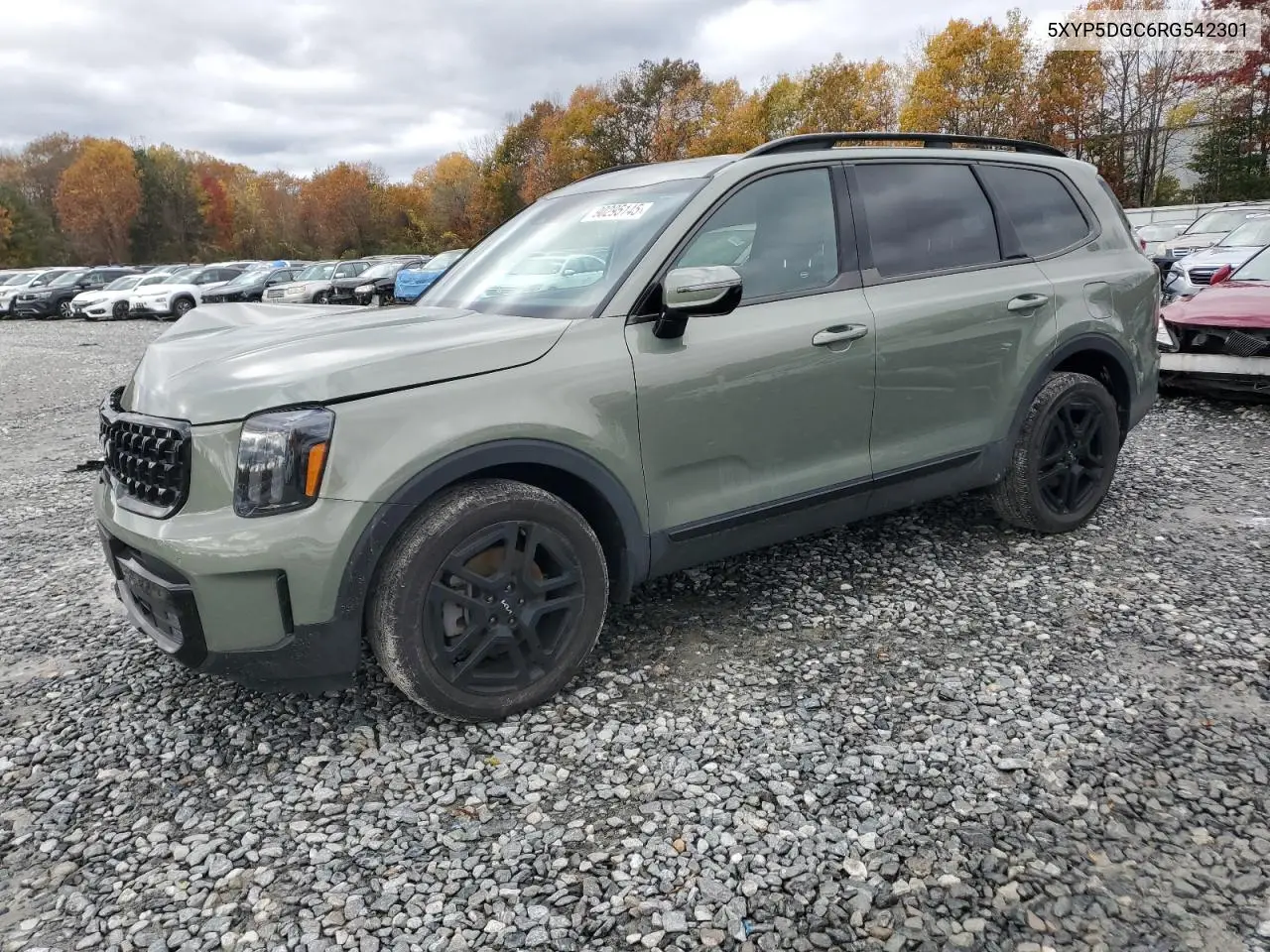 5XYP5DGC6RG542301 2024 Kia Telluride