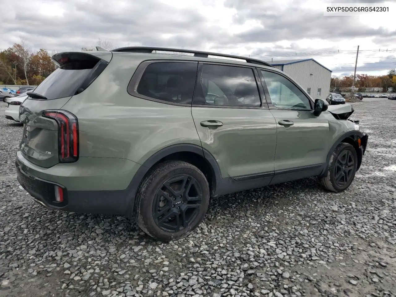 5XYP5DGC6RG542301 2024 Kia Telluride