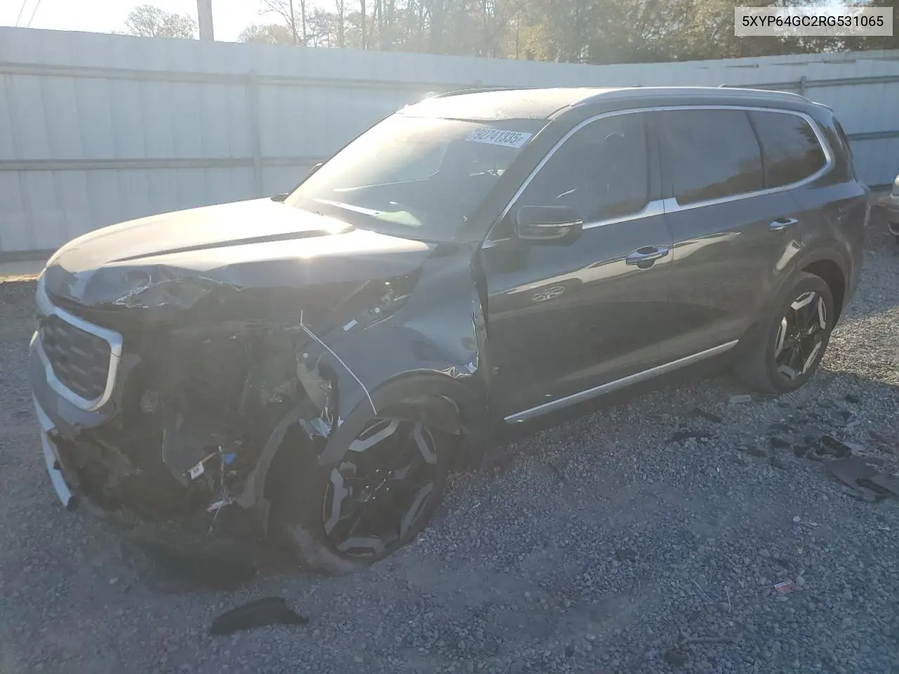5XYP64GC2RG531065 2024 Kia Telluride S