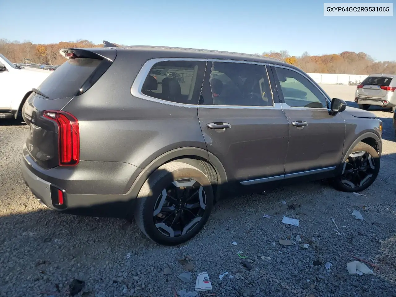 5XYP64GC2RG531065 2024 Kia Telluride S