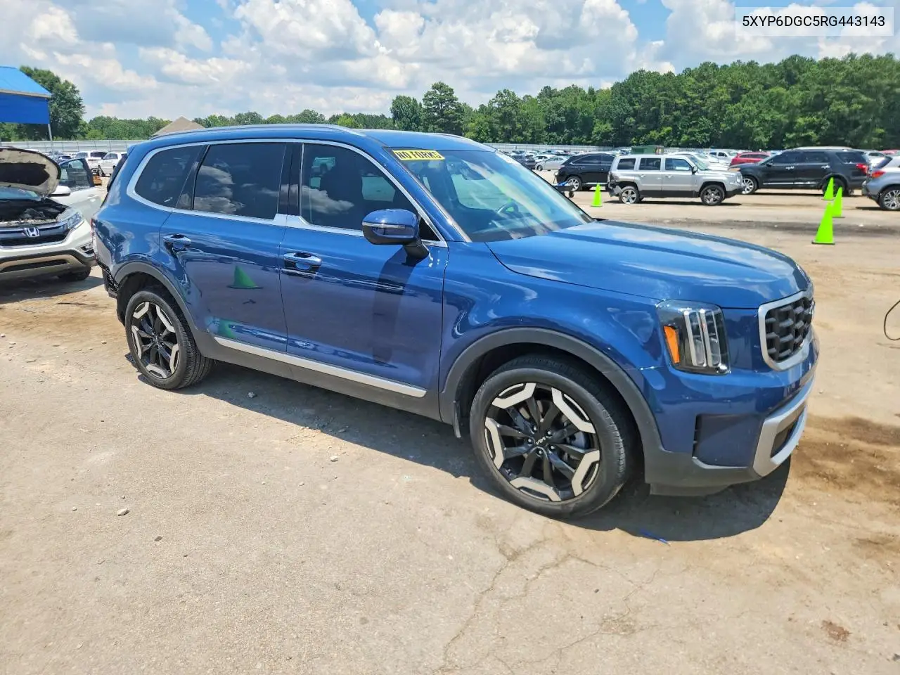 2024 Kia Telluride S VIN: 5XYP6DGC5RG443143 Lot: 95590025