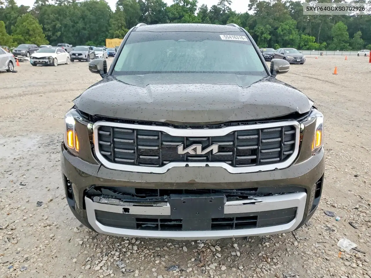 2025 Kia Telluride S VIN: 5XYP64GCXSG702926 Lot: 55416316
