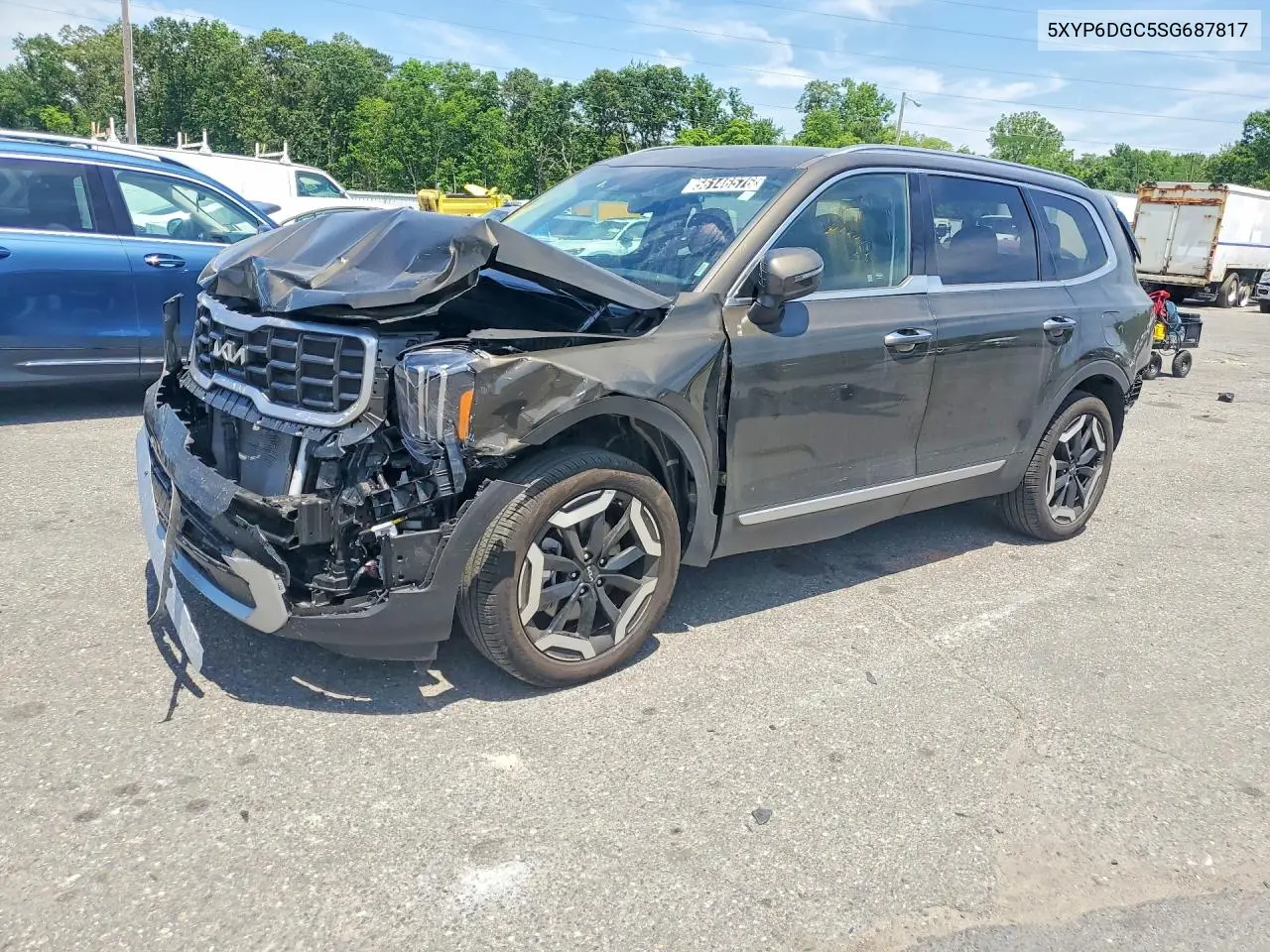 2025 Kia Telluride S VIN: 5XYP6DGC5SG687817 Lot: 56146576