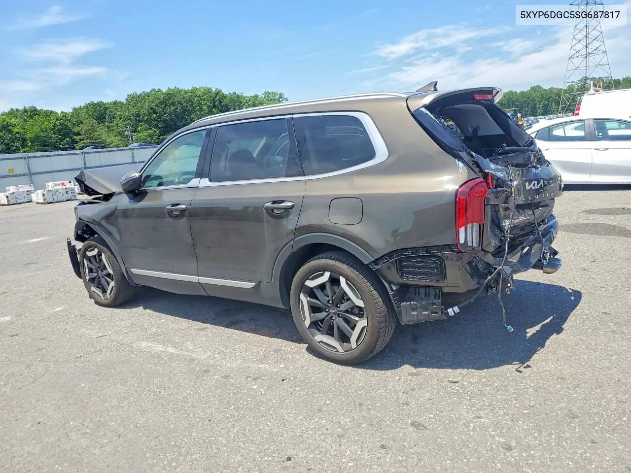 2025 Kia Telluride S VIN: 5XYP6DGC5SG687817 Lot: 56146576
