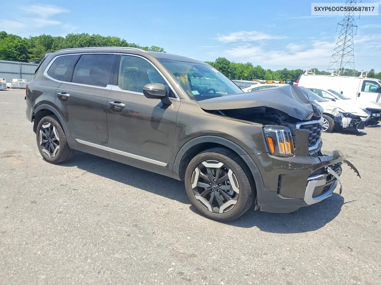 2025 Kia Telluride S VIN: 5XYP6DGC5SG687817 Lot: 56146576