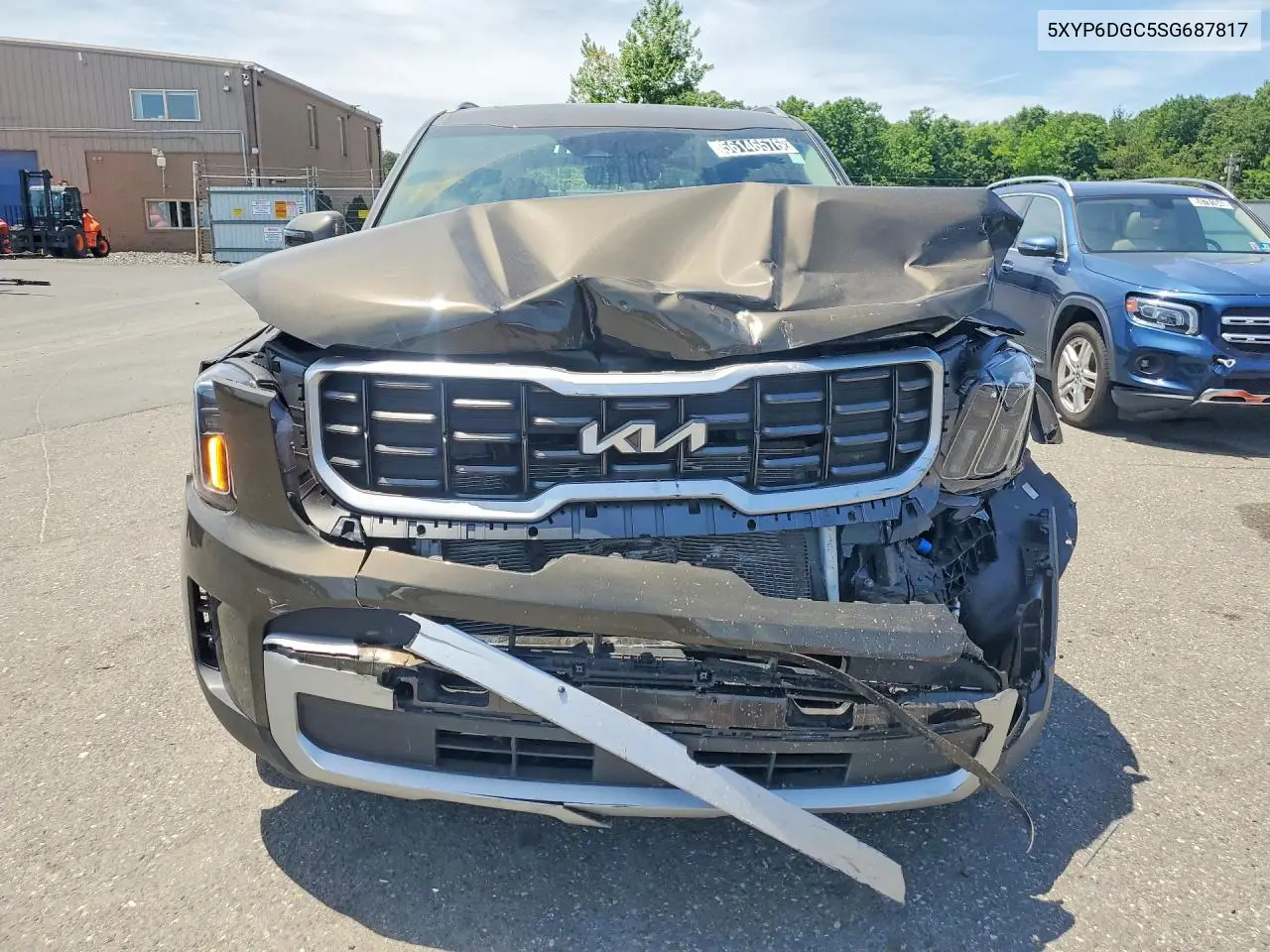 2025 Kia Telluride S VIN: 5XYP6DGC5SG687817 Lot: 56146576