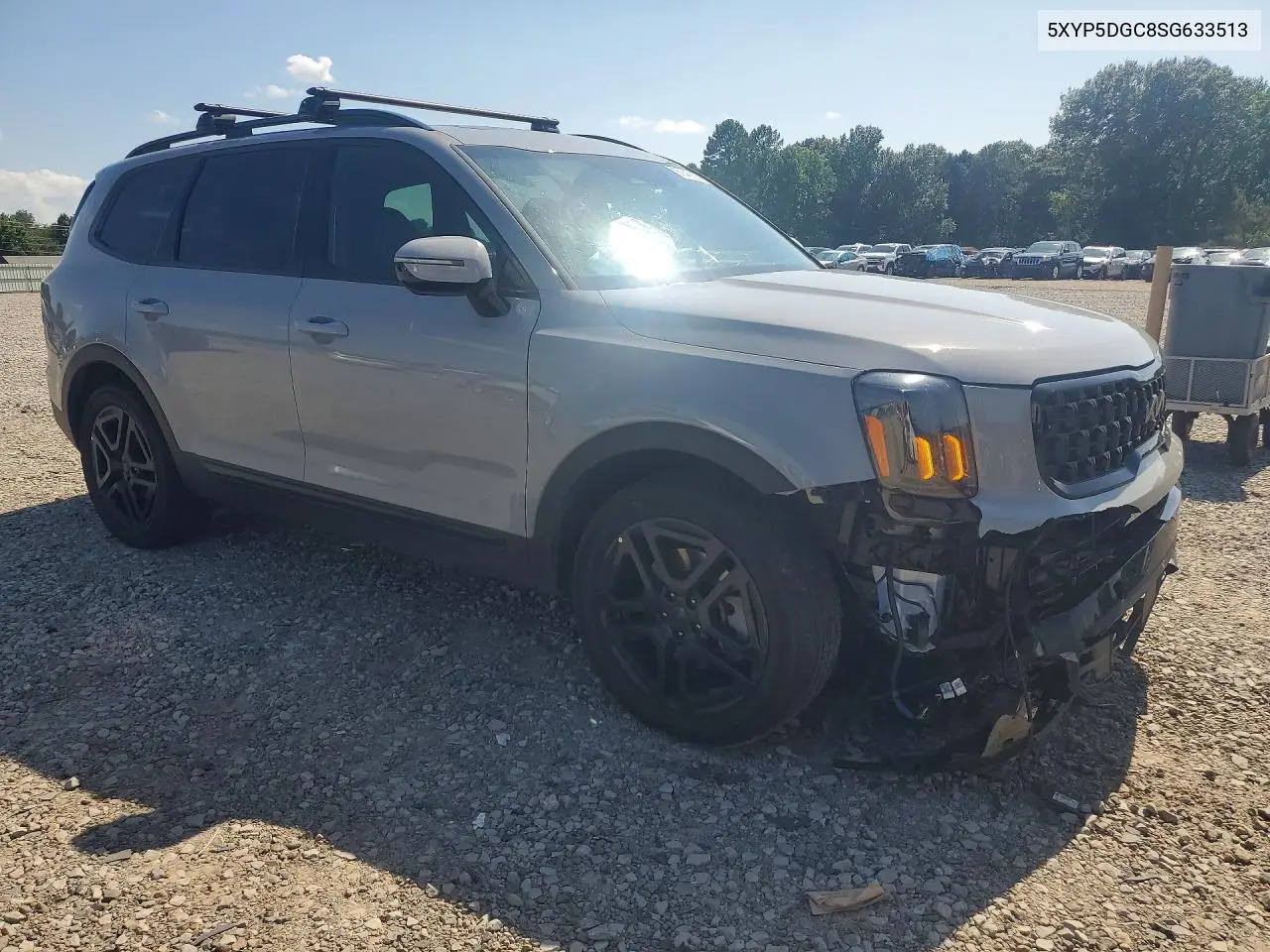 2025 Kia Telluride Sx-Prestige X-Line VIN: 5XYP5DGC8SG633513 Lot: 56645996